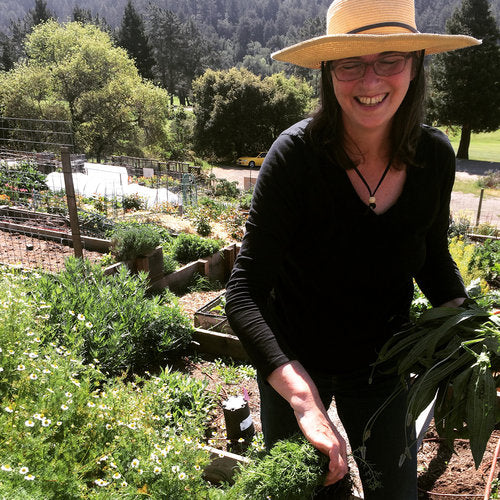 Faculty Gathering Thyme Herb School