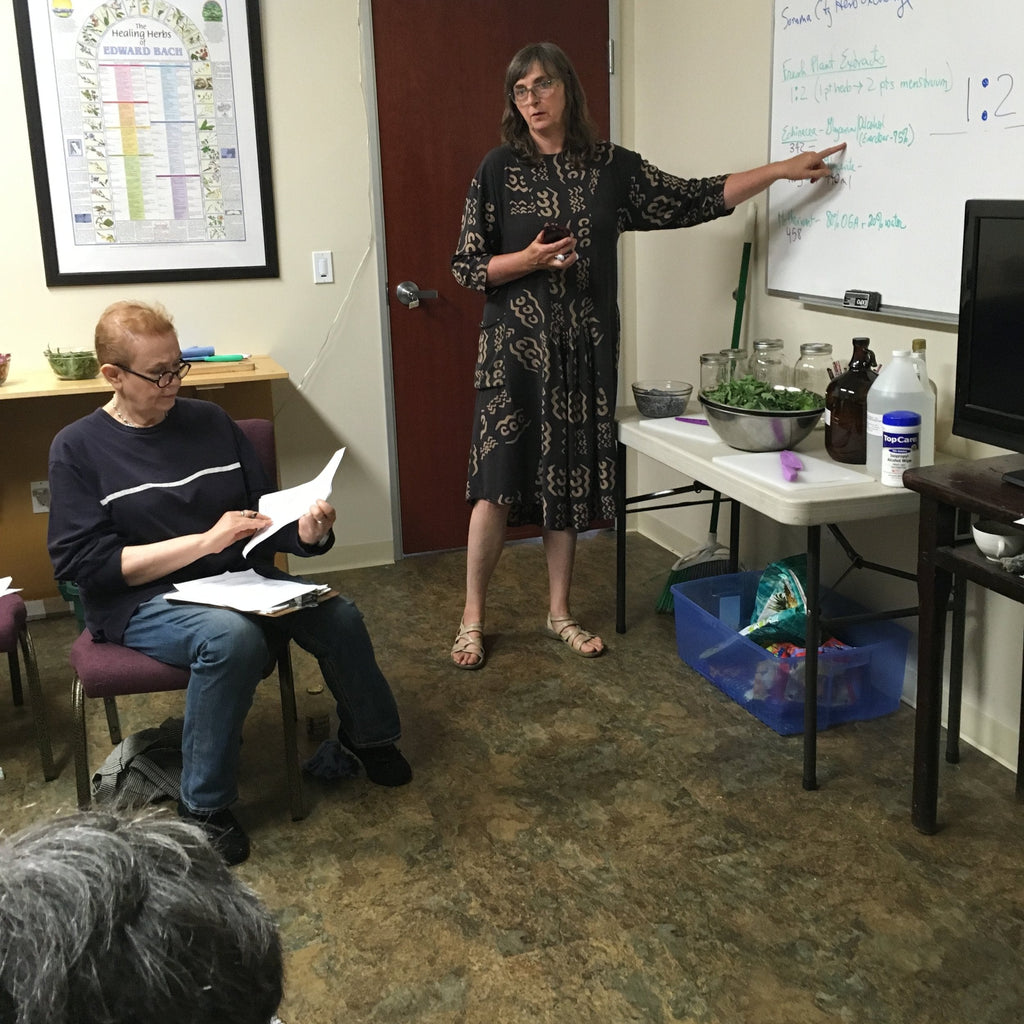 Module 2 Intermediate Western Herbalism Jan Aug 2025 Gathering